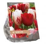 Baltus Urban Flowers Lucky Love bloembollen per 14 stuks